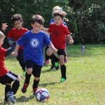 boy-in-red-and-blue-soccer-jersey-kicking-soccer-ball-on-green-grass-field-during-daytime-avgipreokfm