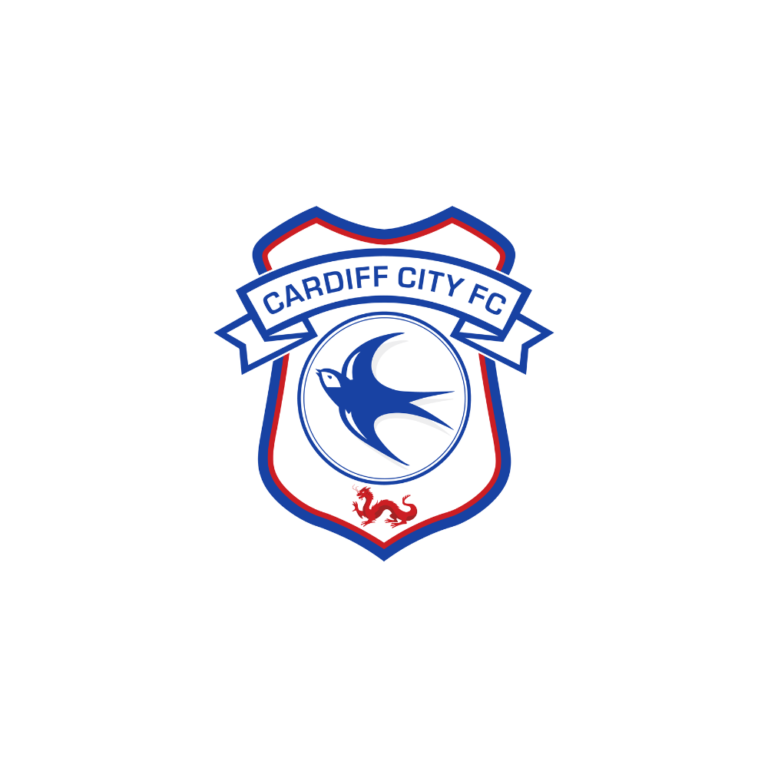 cardiff city fc