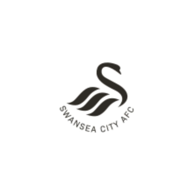 Swansea City Association FC